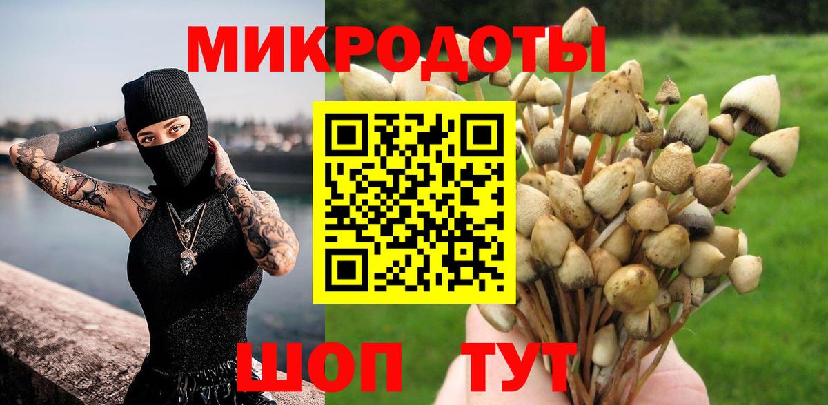 Каменск-Шахтинский  Галлюциногенные грибы Psilocybe  Вход с VPN 