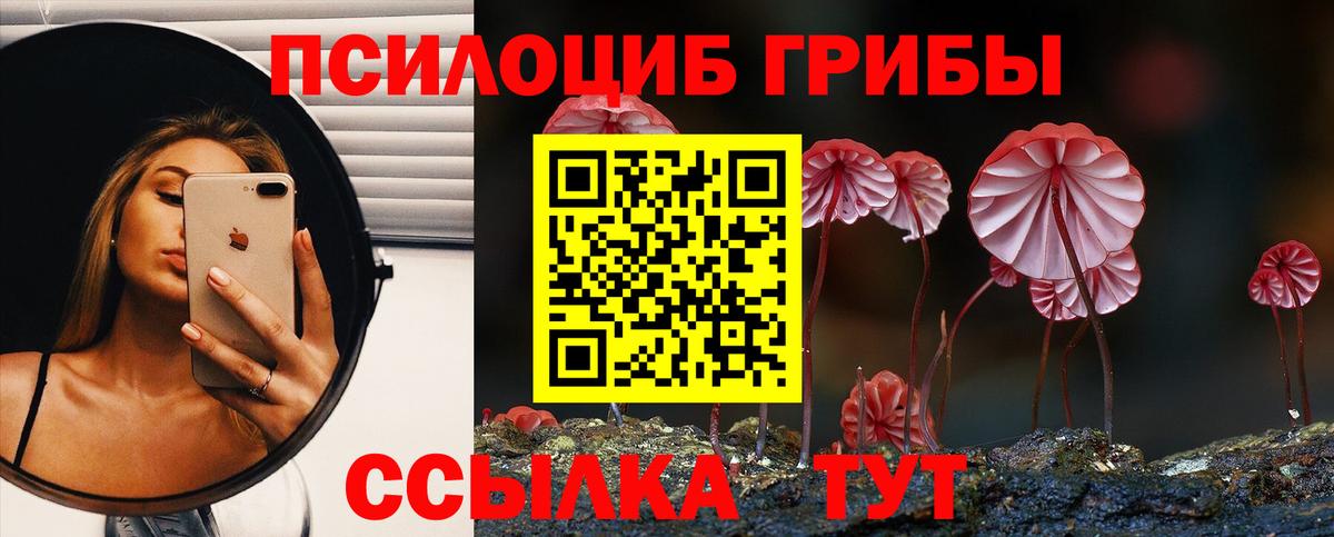 Галлюциногенные грибы MAGIC MUSHROOMS Каменск-Шахтинский